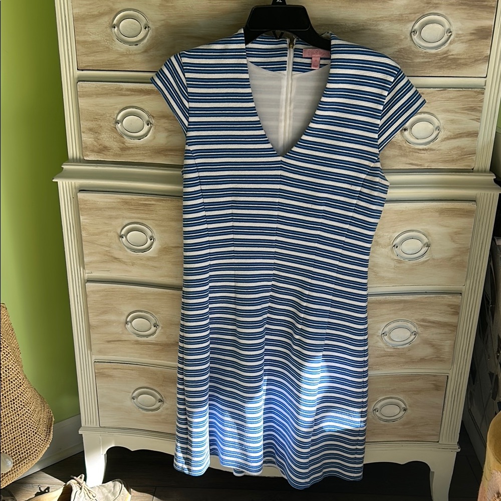 Lilly Pulitzer Blue and White Striped V-Neck Dress